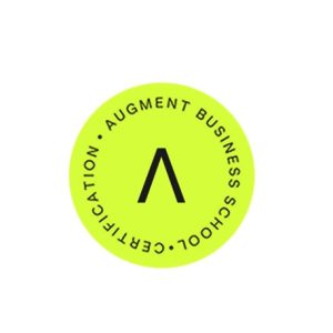 augment-the-augment-mba