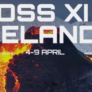 kevin-king-billion-dollar-seller-summit-xi-iceland